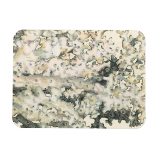 Antiek Waterverf Koraal Magneet (Horizontaal)