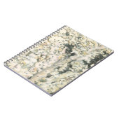 Antiek Waterverf Koraal Notitieboek (Linkerzijde)