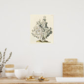 Antiek Waterverf Koraal Poster (Keuken)