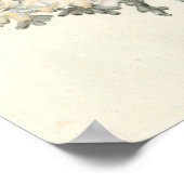 Antiek Waterverf Koraal Poster (Hoek)