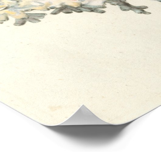 Antiek Waterverf Koraal Poster (Hoek)