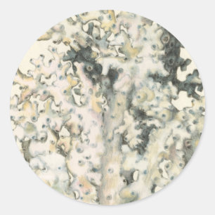 Antiek Waterverf Koraal Ronde Sticker