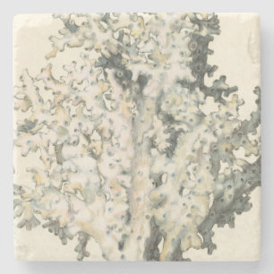 Antiek Waterverf Koraal Stenen Onderzetter