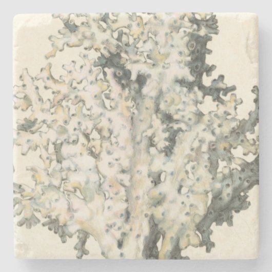 Antiek Waterverf Koraal Stenen Onderzetter (Voorkant)