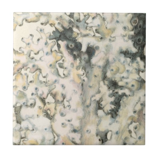 Antiek Waterverf Koraal Tegeltje (Voorkant)