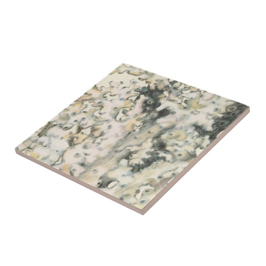 Antiek Waterverf Koraal Tegeltje (Zijkant)