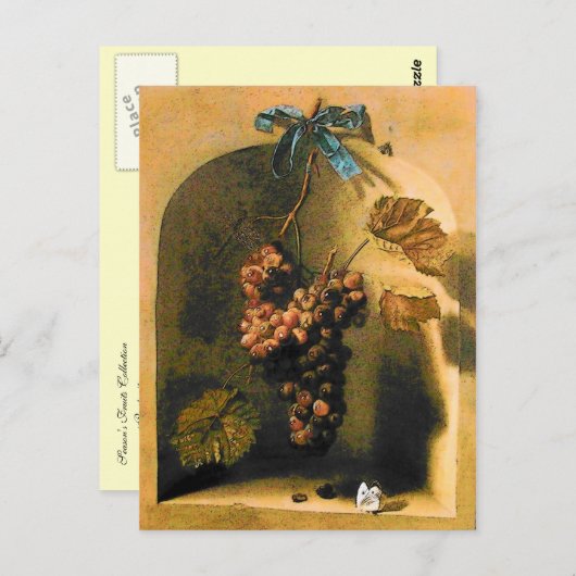 ANTIEK wijnbouw, wijnbouw Rustige wijnbouw Briefkaart (Voorkant / Achterkant)