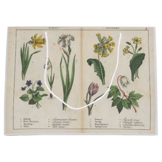 Antiek Wildflower Roze en Groene Gift Bag Groot Cadeauzakje (Voorkant)