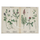 Antiek Wildflower Roze en Groene Gift Bag Groot Cadeauzakje (Achterkant)