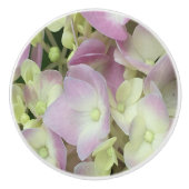 Antiek witte en droge roze hydrangea Petals Keramische Knop (Voorkant)