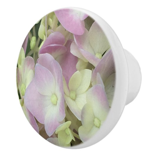 Antiek witte en droge roze hydrangea Petals Keramische Knop (Rechts)
