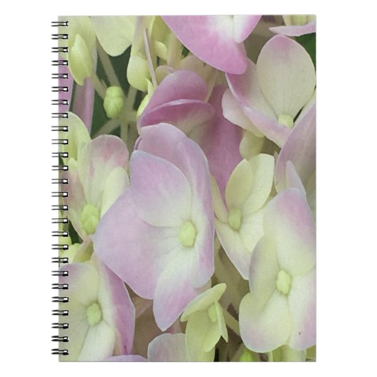 Antiek witte en droge roze hydrangea Petals Notitieboek (Voorkant)