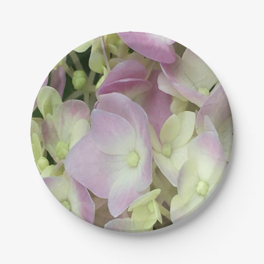 Antiek witte en droge roze hydrangea Petals Papieren Bordje (Voorkant)