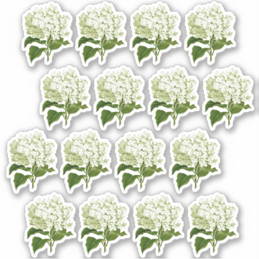 Antiek witte Stickers (Voorkant)