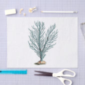 Antiek Zee Koraal Illustratie Tissuepapier (Craft)