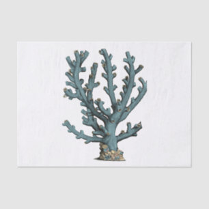 Antiek Zee Koraal Illustratie Tissuepapier