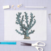 Antiek Zee Koraal Illustratie Tissuepapier (Craft)