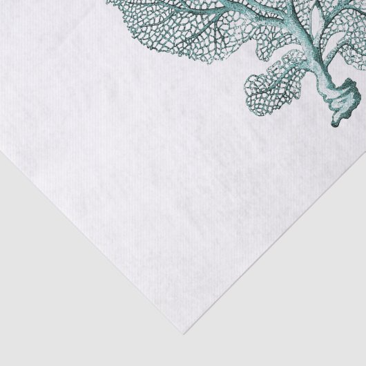 Antiek Zee Koraal Illustratie Tissuepapier (Detail)