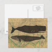 Antiek Zee op walvis Briefkaart (Voorkant / Achterkant)