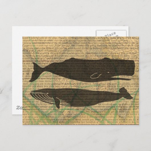 Antiek Zee op walvis Briefkaart (Voorkant / Achterkant)