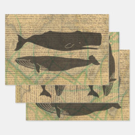 Antiek Zee op walvis Inpakpapier Vel