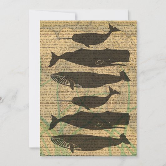 Antiek Zee op walvis Kaart (Achterkant)