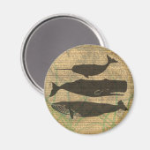 Antiek Zee op walvis Magneet (Voorkant / Achterkant)