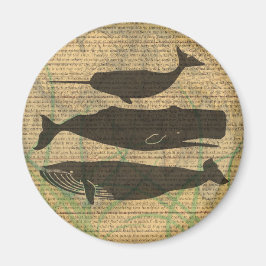 Antiek Zee op walvis Magneet