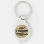 Antiek Zee op walvis Sleutelhanger (Voorkant)