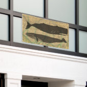 Antiek Zee op walvis Spandoek (Buitenkant Gebouw)