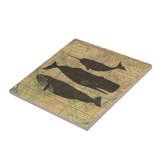 Antiek Zee op walvis Tegeltje (Zijkant)