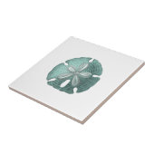  Antiek      Zee Urchin Tekening Tegeltje (Zijkant)