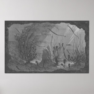 Antiek zeepaardjes in aquarium poster