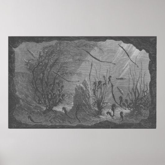 Antiek zeepaardjes in aquarium poster (Voorkant)