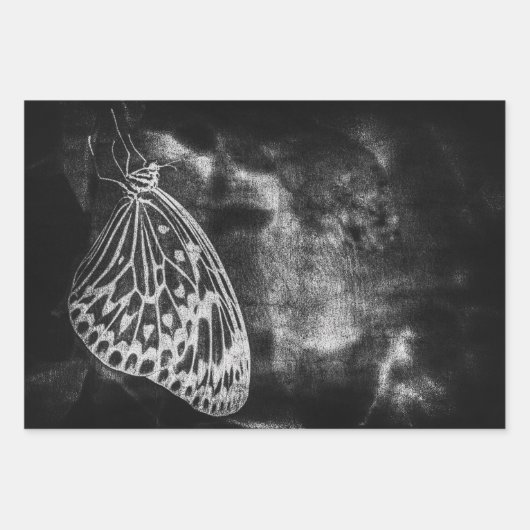 Antiek zwart-wit ontkleurd vlinder Inpakpapier Vel (Voorkant)