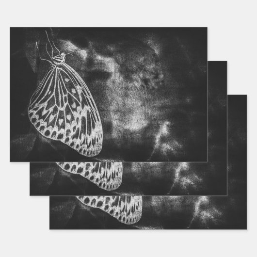 Antiek zwart-wit ontkleurd vlinder Inpakpapier Vel (Set)