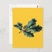 Antiek zwarte bessen en eikels met een botanische  briefkaart (Voorkant / Achterkant)