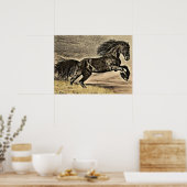 Antiek zwarte Stallion Horse Poster (Keuken)