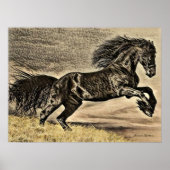 Antiek zwarte Stallion Horse Poster (Voorkant)