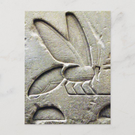 ANTIEK ZWARTE WITTE EGYPTISCHE HONING BEEKEEPER BRIEFKAART (Voorkant)