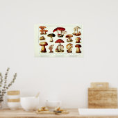 Antieke 1908 Giftige Paddenstoelen Poster (Keuken)