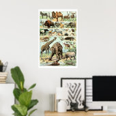 Antieke 1922 Wilde Dieren Poster (Thuiskantoor)