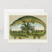 Antieke Alligator Ansichtkaart Briefkaart (Voorkant / Achterkant)