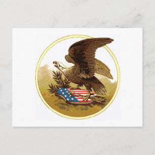 Antieke Amerikaanse Adelaar Ansichtkaart Briefkaart