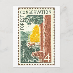 Antieke Amerikaanse postzegel voor bosbehoud Briefkaart