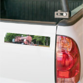Antieke Amerikaanse Stoomlocomotief Bumpersticker (Op Truck)