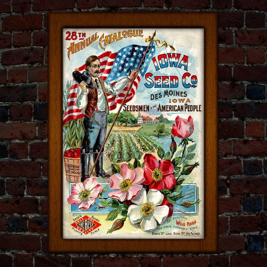 Antieke Amerikaanse Zaadcatalogus Reclame Poster