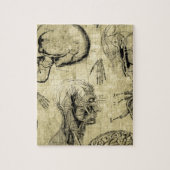 Antieke anatomie schedel legpuzzel (Verticaal)