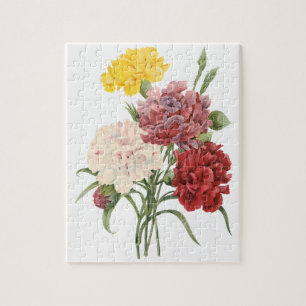 Antieke Anjers Dianthus Tuin Bloemen Redoute Legpuzzel