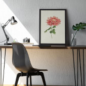 Antieke Aquarel Botanische Print 